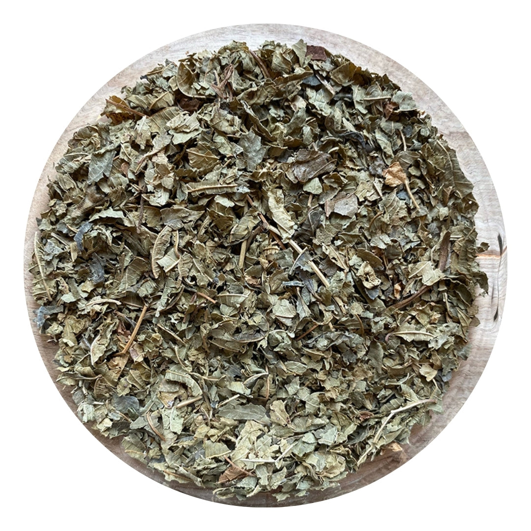 Lemon Verbena