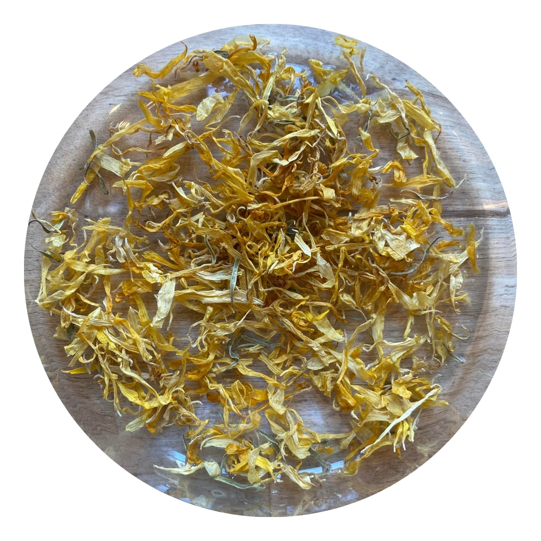 Calendula