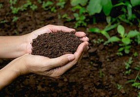 Soil Health Institute - Loyalty Reward Donation