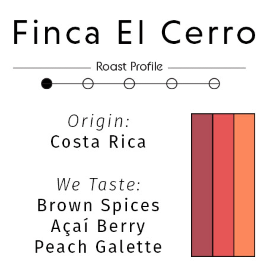 Costa Rica: Finca El Cerro | Anaerobic Washed