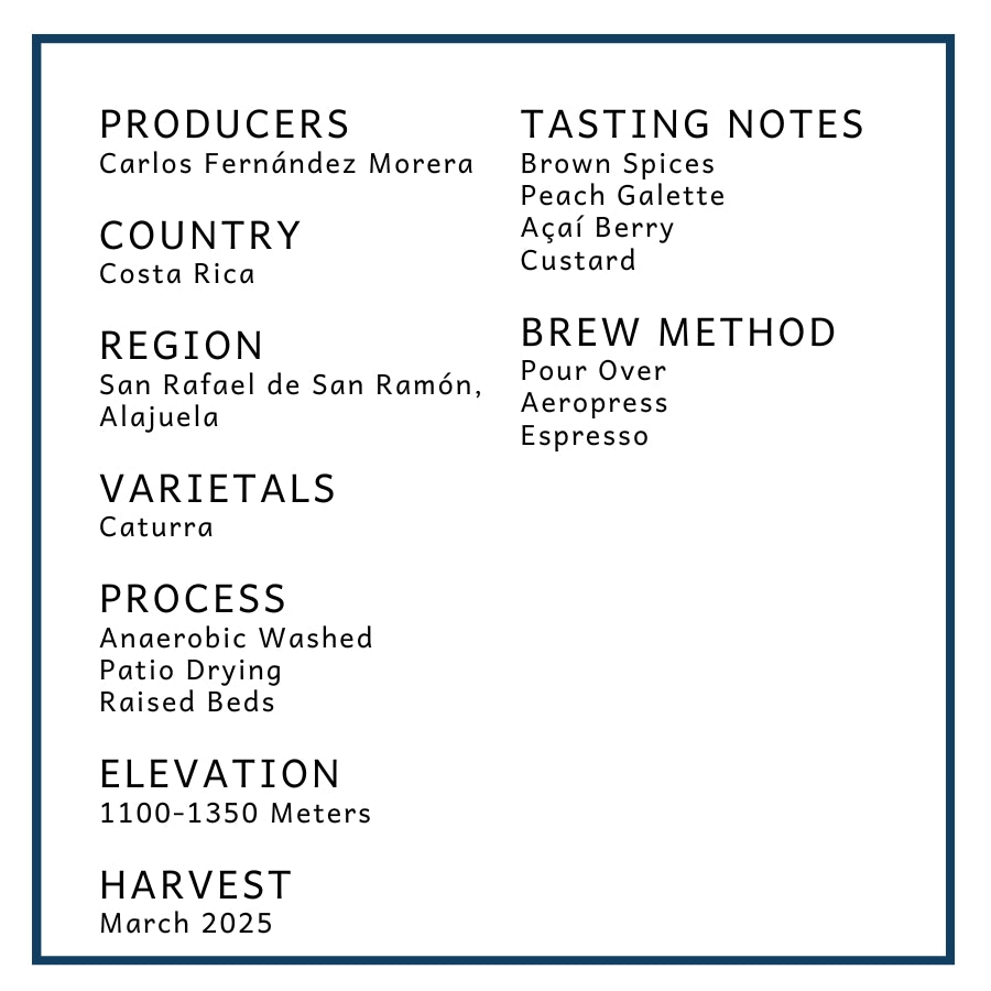 Costa Rica: Finca El Cerro | Anaerobic Washed