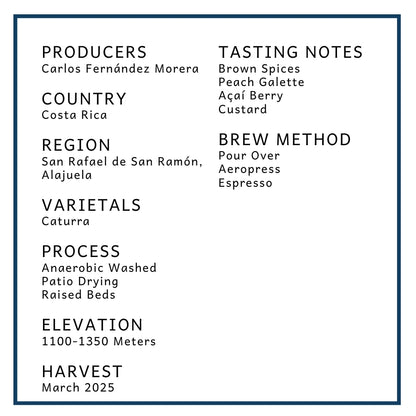 Costa Rica: Finca El Cerro | Anaerobic Washed