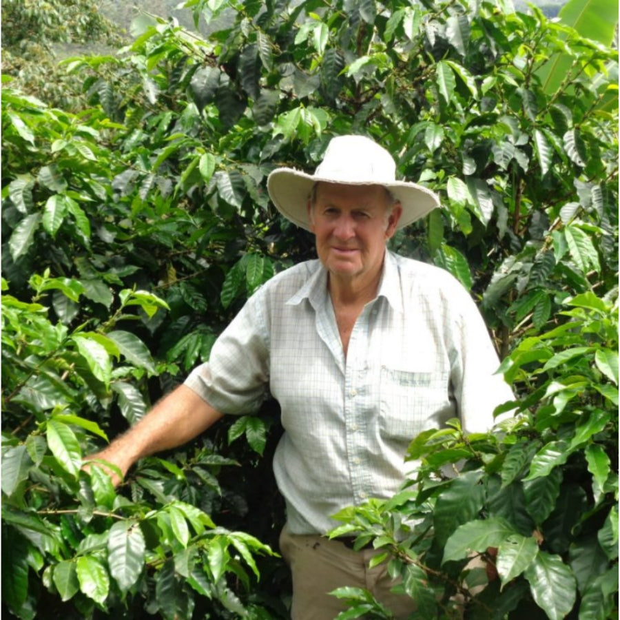 Costa Rica: Finca El Cerro | Anaerobic Washed