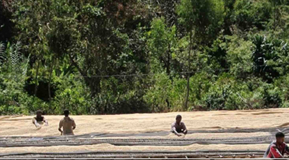 Ethiopia: Homacho Waeno