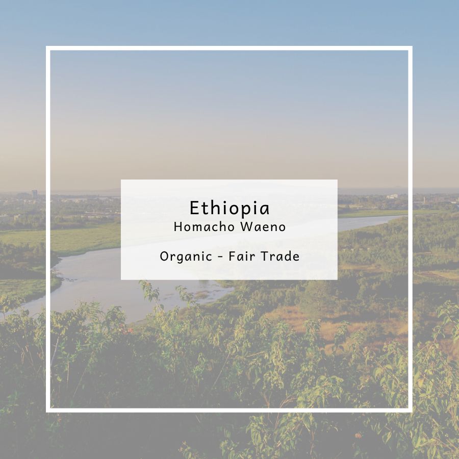 Ethiopia: Homacho Waeno