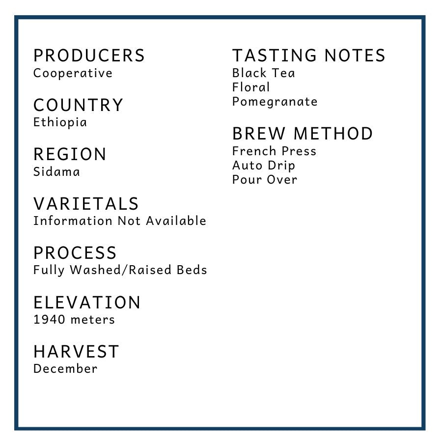 Ethiopia: Homacho Waeno