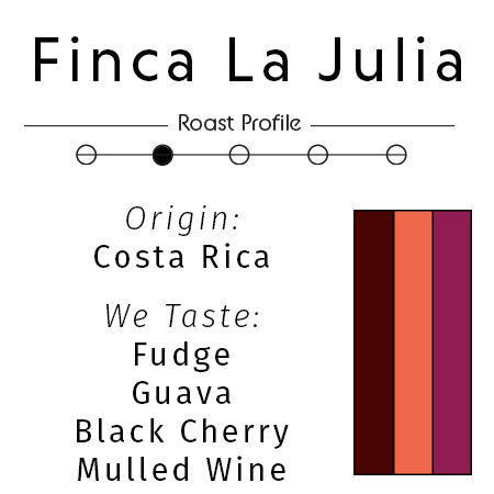 Costa Rica: Finca La Julia Black Honey | Limited Reserve