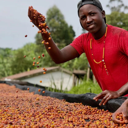 Uganda: Kigezi Valley | Limited Reserve
