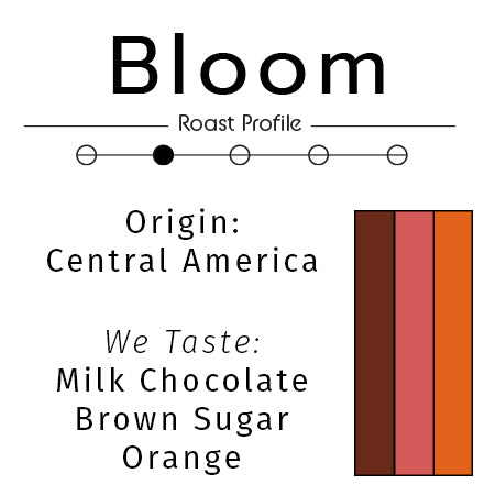 Bloom: Organic Light Medium Roast