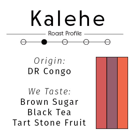 Organic DR Congo Kalehe coffee beans from King's Gambit Coffee in a bag with coffee beans spilling out.