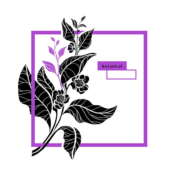 Organic Honeybush