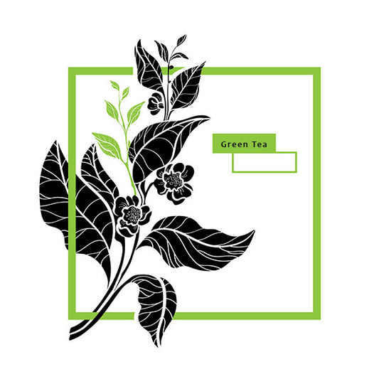 Moroccan Mint