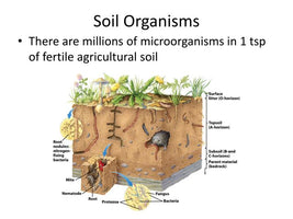 Soil Health Institute - Loyalty Reward Donation